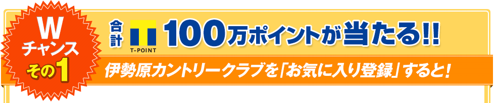 Wチャンス～その1：合計100万ポイントが当たる！！