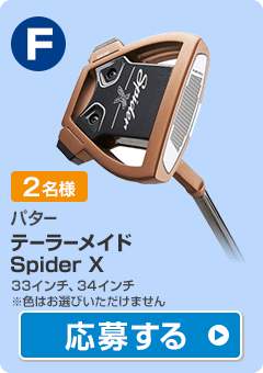 【パター】テーラーメイド Spider X 