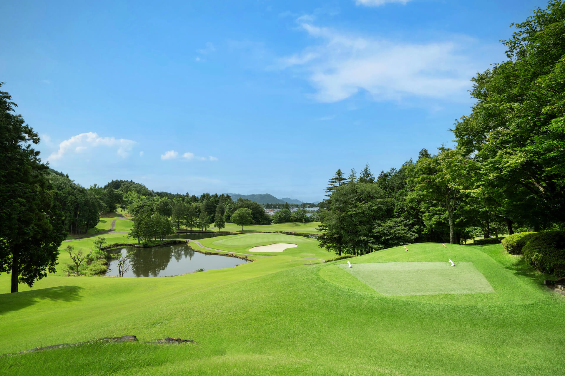 ピートダイゴルフクラブ ロイヤルコース(栃木県) コース写真