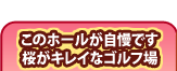 このホールが自慢です。桜がキレイなゴルフ場