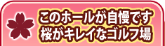 このホールが自慢です。桜がキレイなゴルフ場