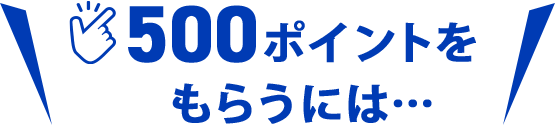 500ptもらうには