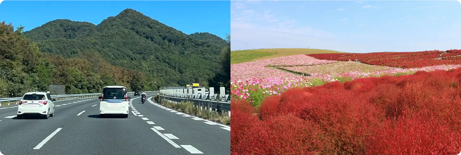 いばらき常陸国周遊画像