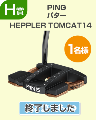 H賞 ピン パター　HEPPLER TOMCAT14
