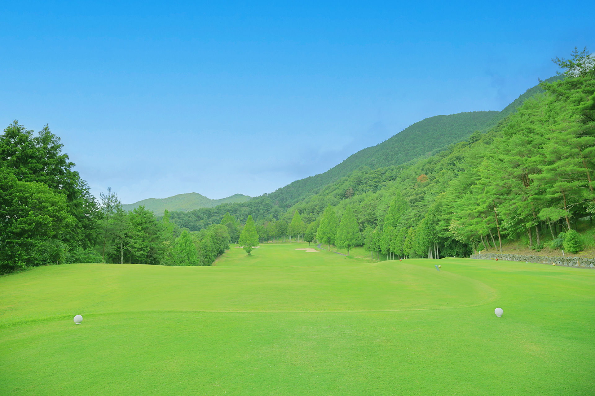 松山ロイヤルゴルフ倶楽部(愛媛県) コース写真