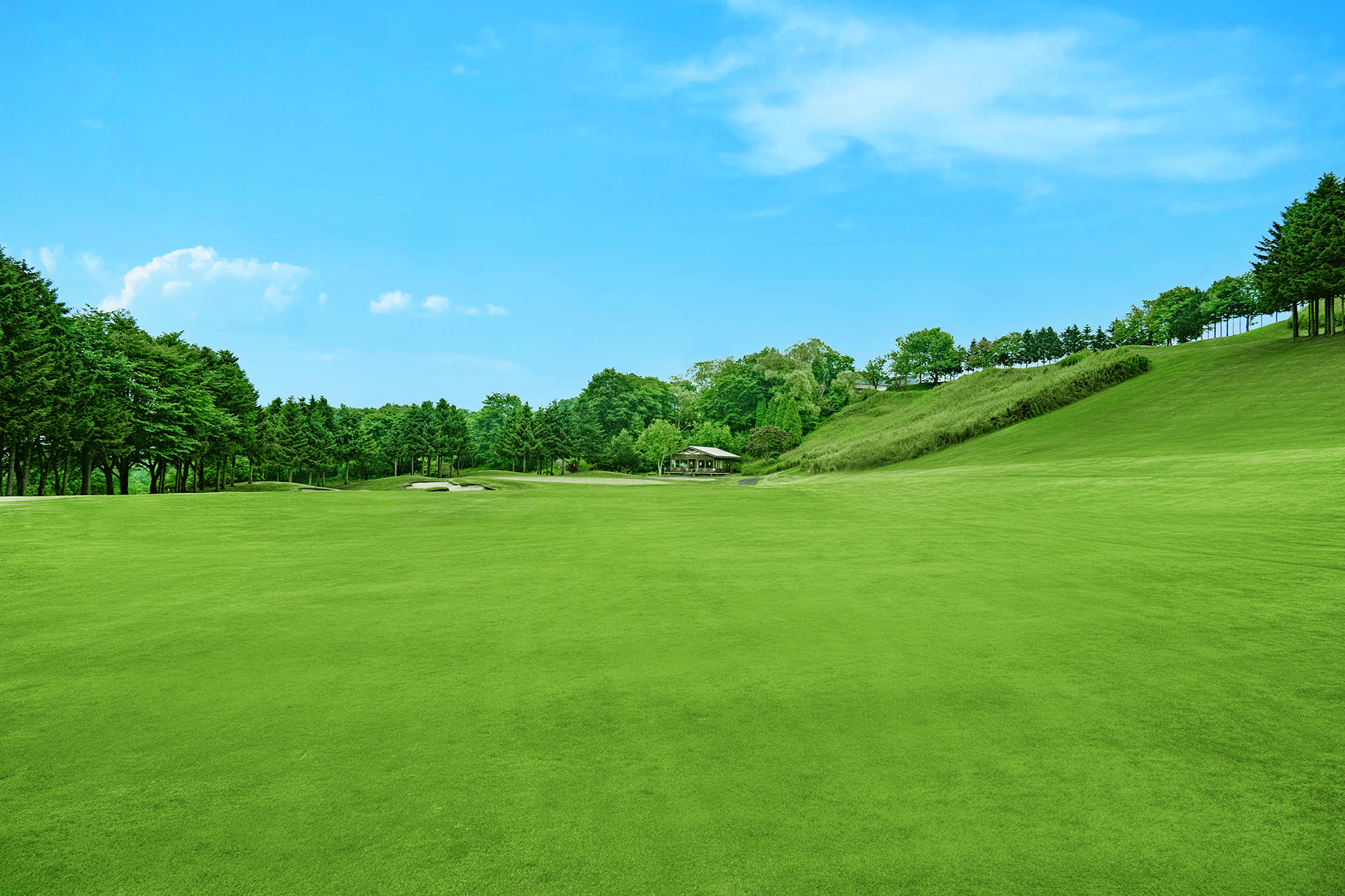 新千歳カントリークラブ(北海道) コース写真