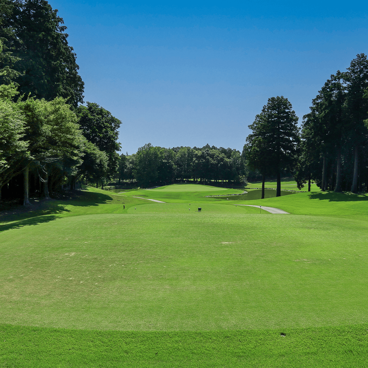 玉造ゴルフ倶楽部 捻木コース(茨城県) 【公式】ゴルフ場予約サイト｜PGM