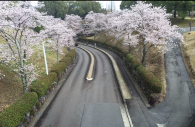 名古屋ヒルズゴルフ倶楽部 ローズコース