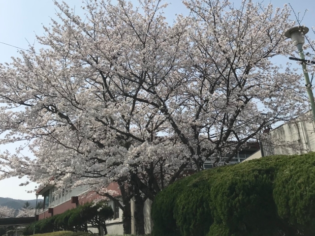 北九州カントリー倶楽部