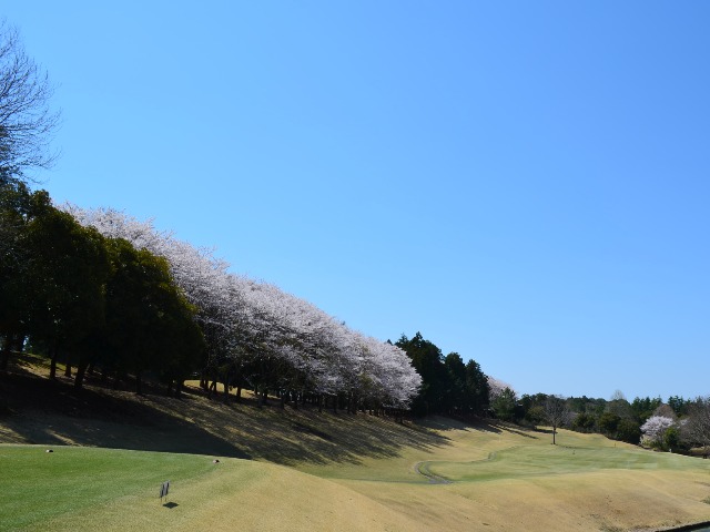 玉造ゴルフ倶楽部 若海コース