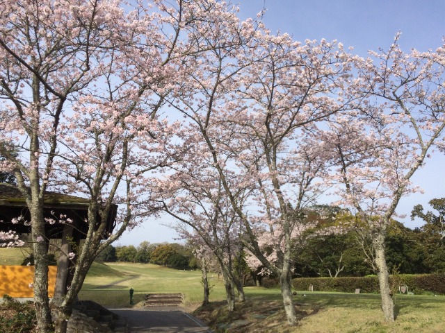 大分富士見カントリー倶楽部