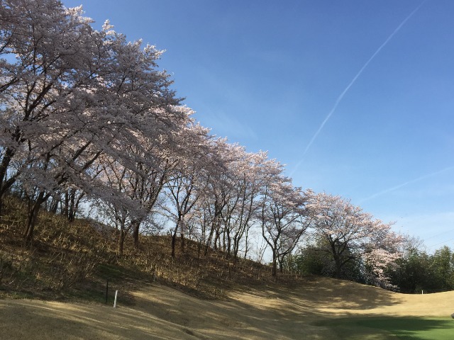 ＰＧＭ富岡カントリークラブ サウスコース