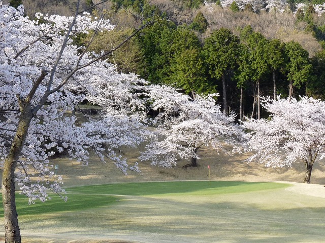 大秦野カントリークラブ