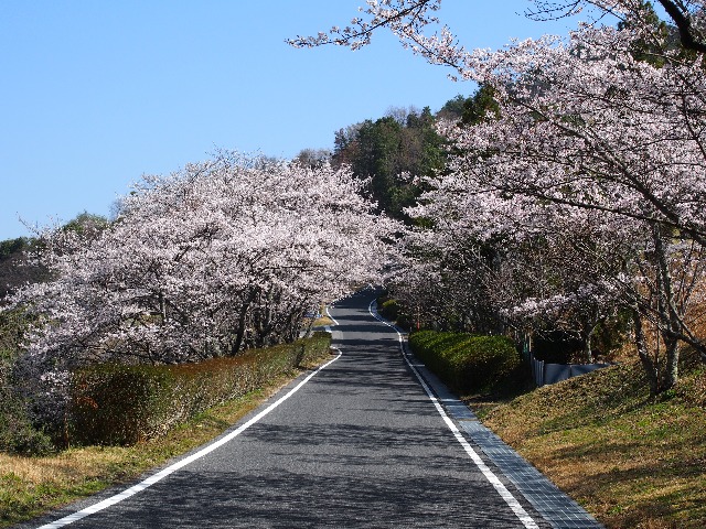 東広島カントリークラブ