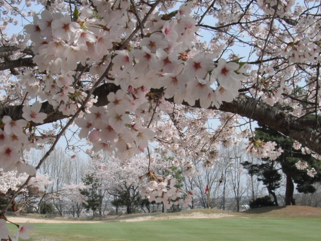 法隆寺カントリー倶楽部