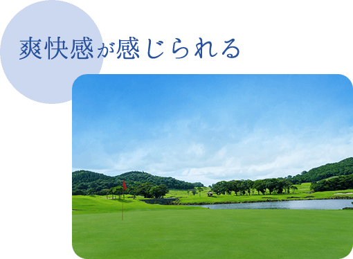 爽快感が感じられる